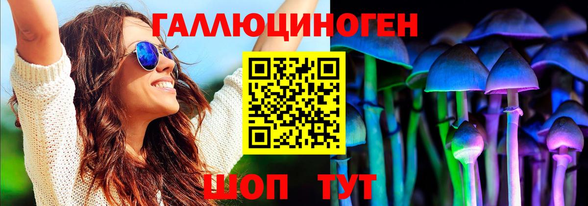 Домодедово  Галлюциногенные грибы Psilocybine cubensis  Вход с VPN  Галлюциногенные грибы мицелий 