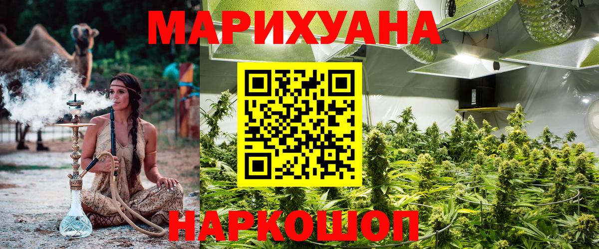 Каннабис сатива Домодедово
